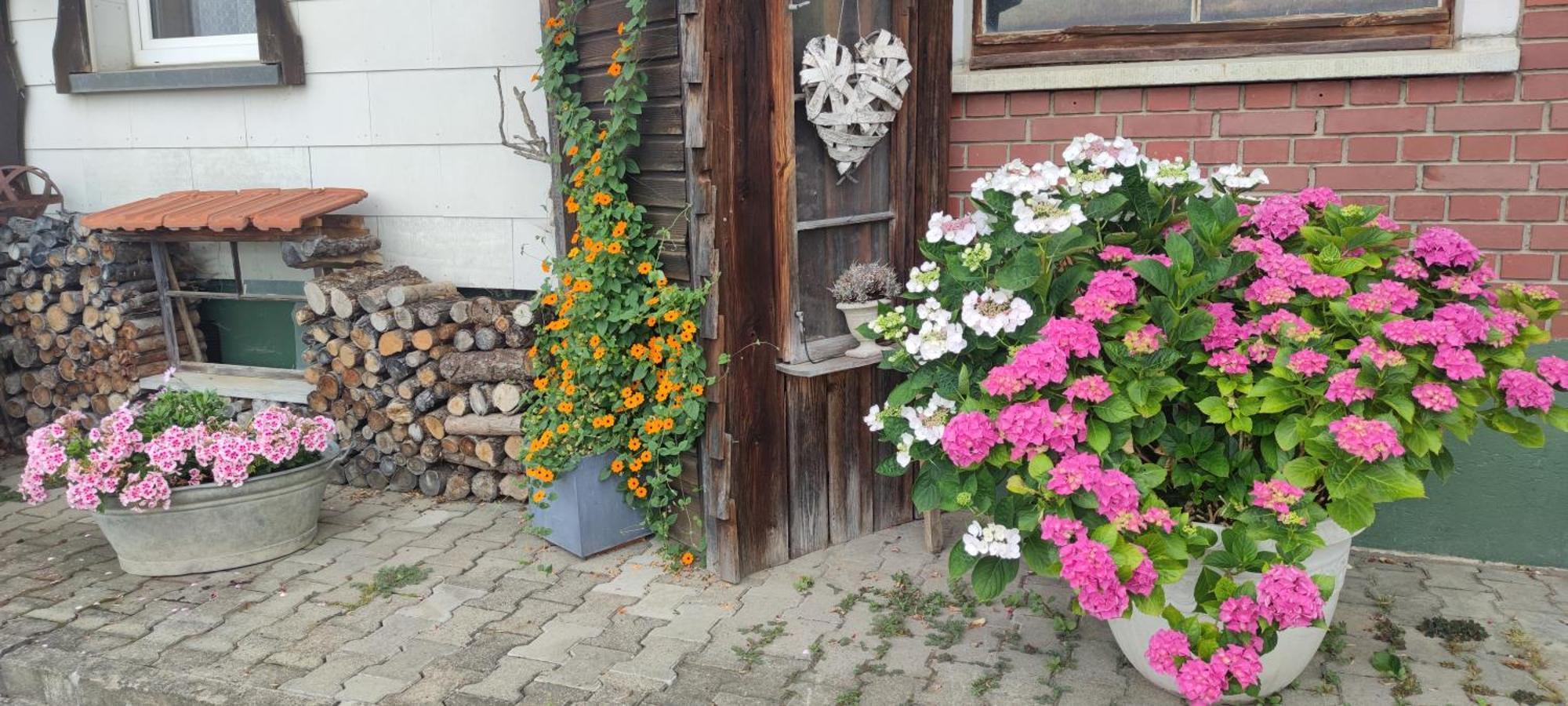 Gaestehaus Fechtig Hergensweiler Luaran gambar